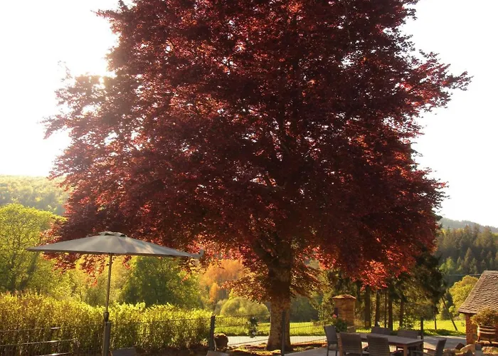 Apartment Jagdschloss Siedlinghausen 1